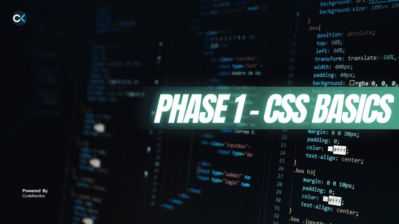 CSS PHASE 1 – CSS BASICS | CSS Basics Complete Guide | Learn CSS from Scratch | Phase 1
