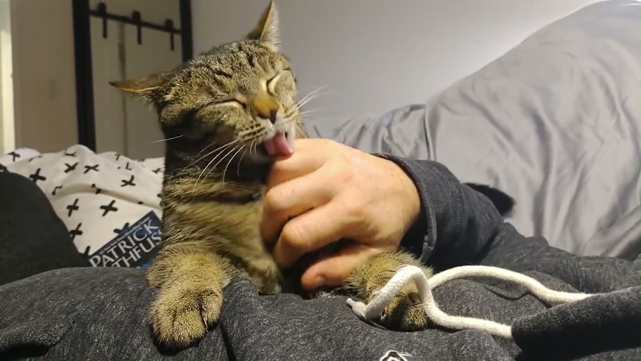 purr time ASMR