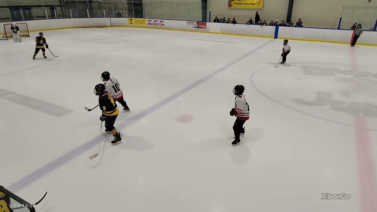 Ajax Pickering Raiders U13 -at- Whitby Wildcats U13