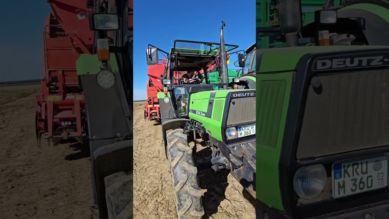 Deutz DX 3.60 bei Kartoffelernte!🥔🚜👍