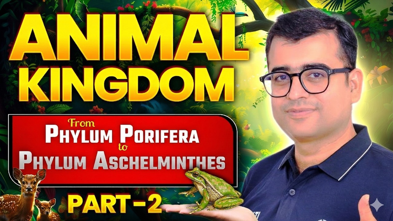 Animal Kingdom Part 2 : Phylum Porifera to Phylum Aschelminthes