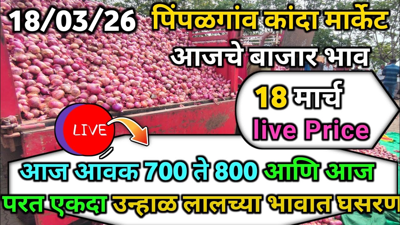Pimpalgaon Onion Market Price Today:Latest Rates And Insights 18 march 2025
