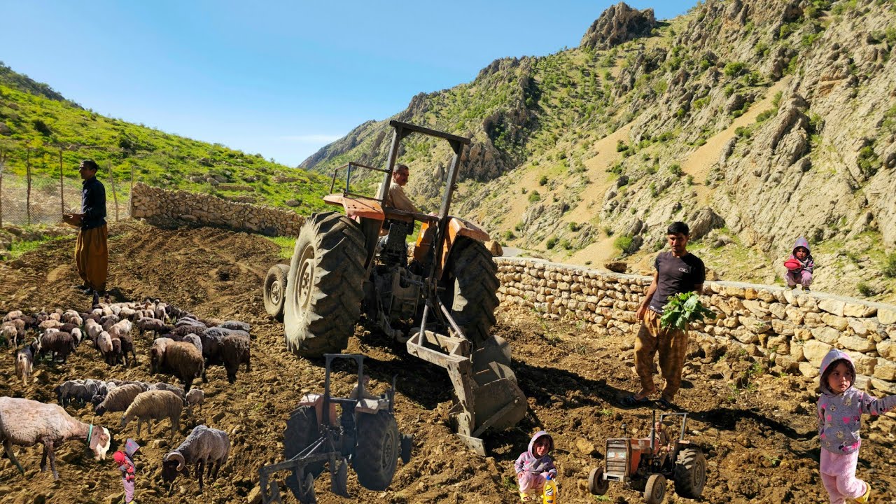 Nomadic Life: 🚜Why do nomads plow land before planting vegetables?!🥬| Nomadic Life of Kuhgol Family🏕