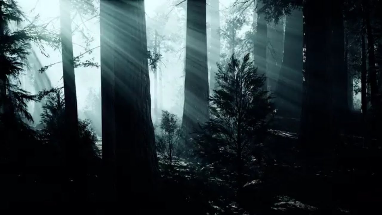 Licht vertreibt die Dunkelheit