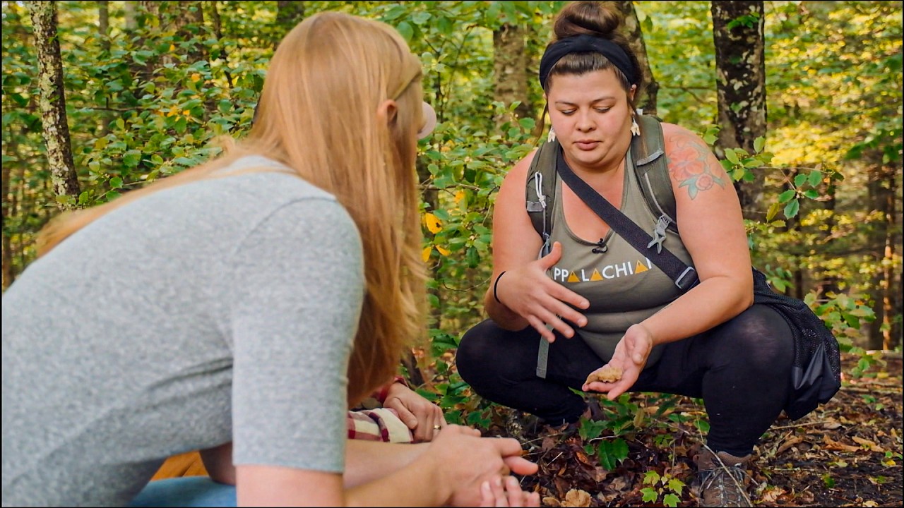 Mushroom Foraging in Deep Appalachia