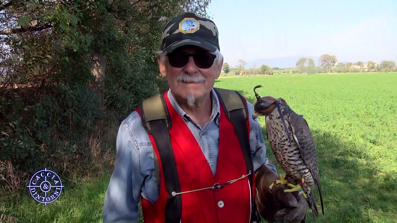 SORSOLI'S E FALCONERIA