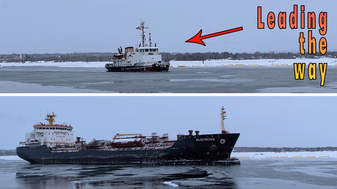 The USCGC Biscayne Bay, Algonova and a bunch of bald eagles at Rotary Park in the Soo.