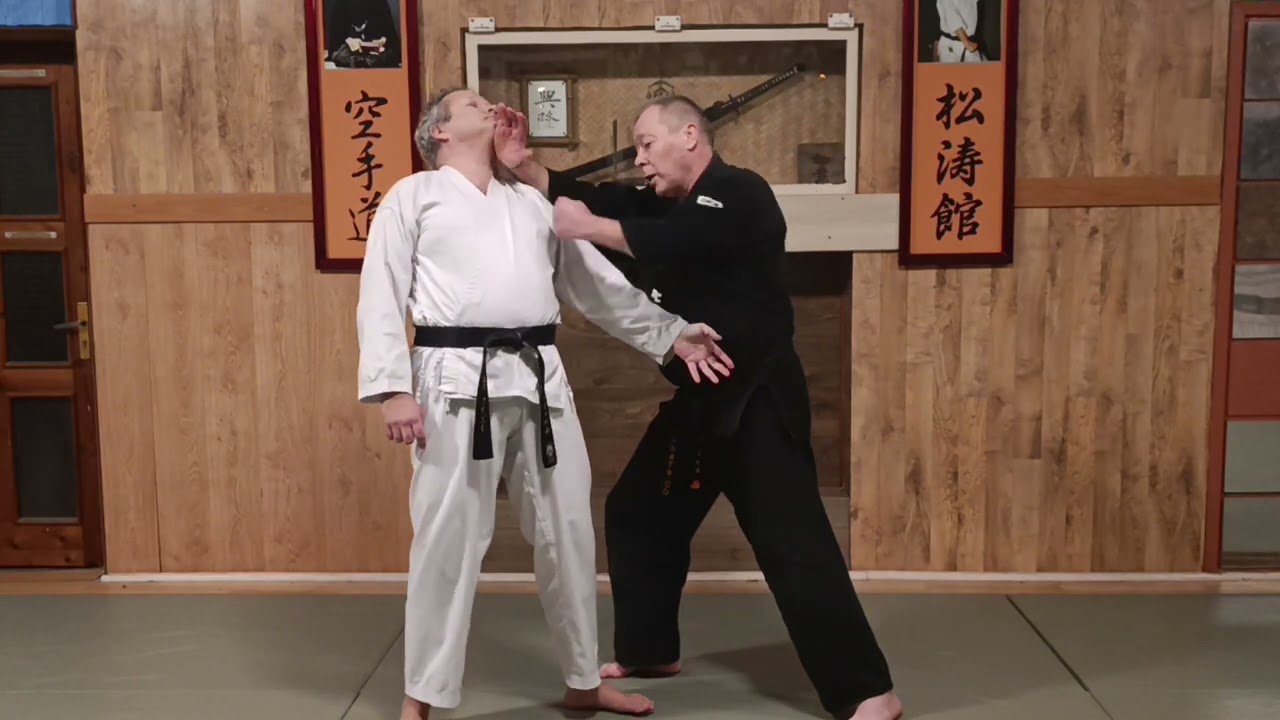 Chinte Bunkai-kumite Nr. 3