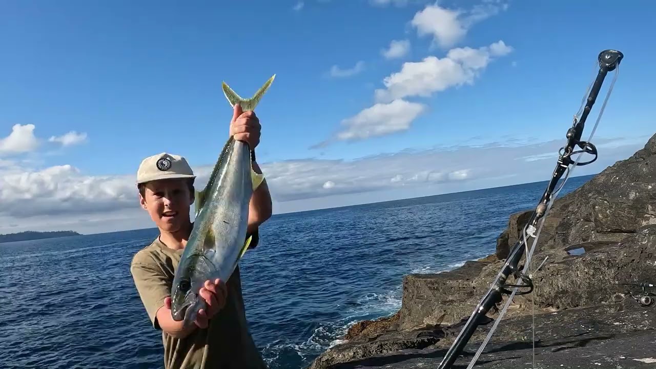 !!rock fishing for yellow tail king fish!!