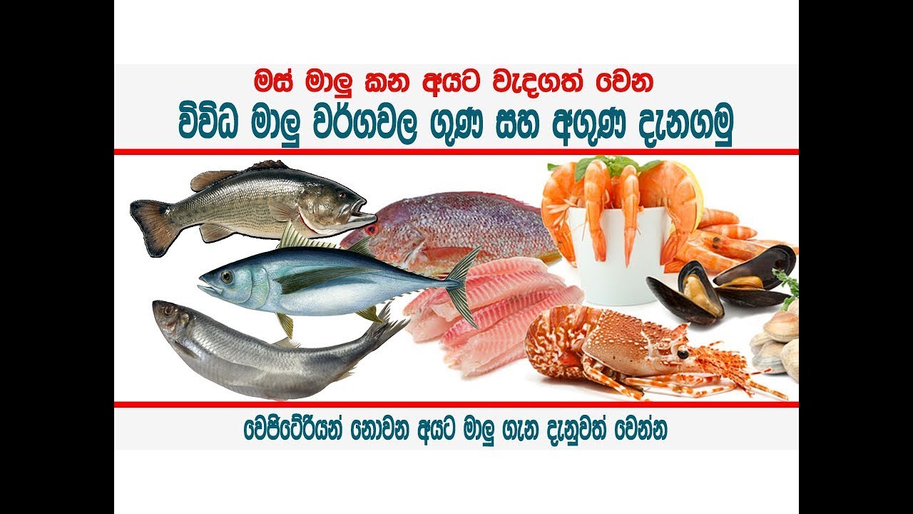 මස් මාළුවල ගුණ සහ අගුණ - Nutritional value of various types of fish