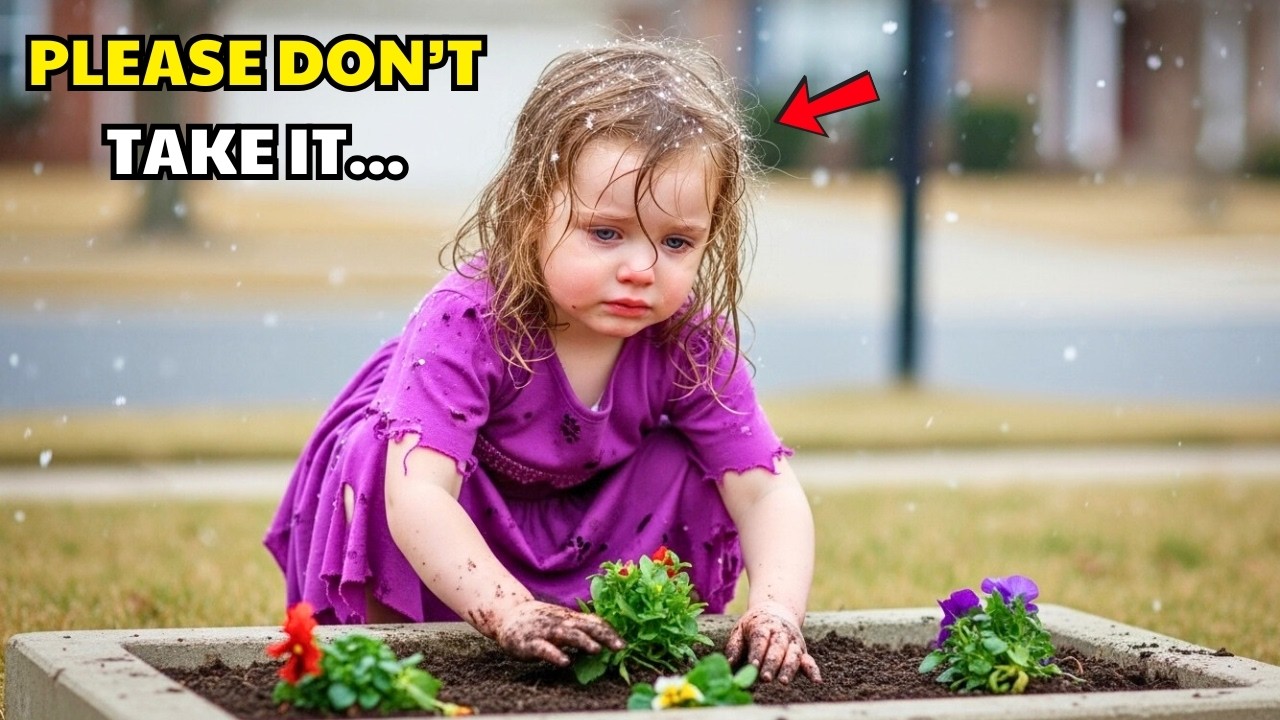 A MILLIONAIRE SAW A LITTLE GIRL PLANTING FLOWERS IN A FORGOTTEN LOT — WHAT HE DISCOVERED SHOCKED HIM