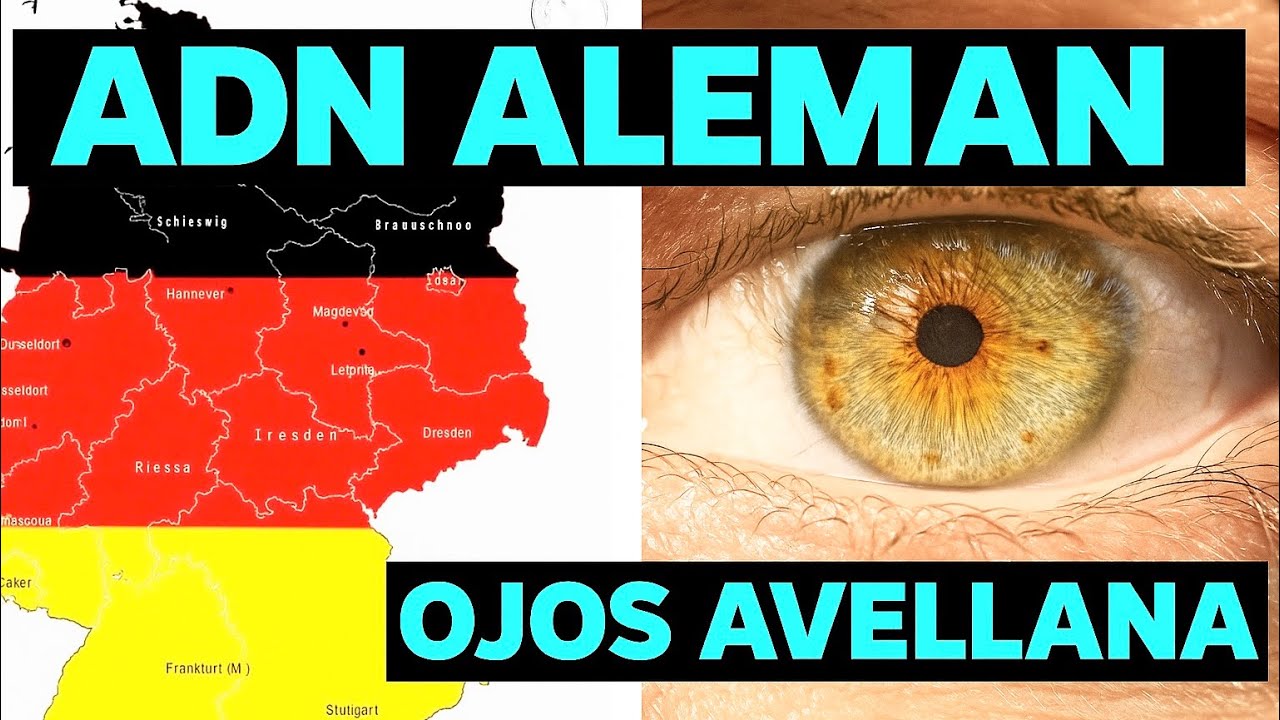El ADN Alemán y La Evolución De Los Ojos Color Avellana