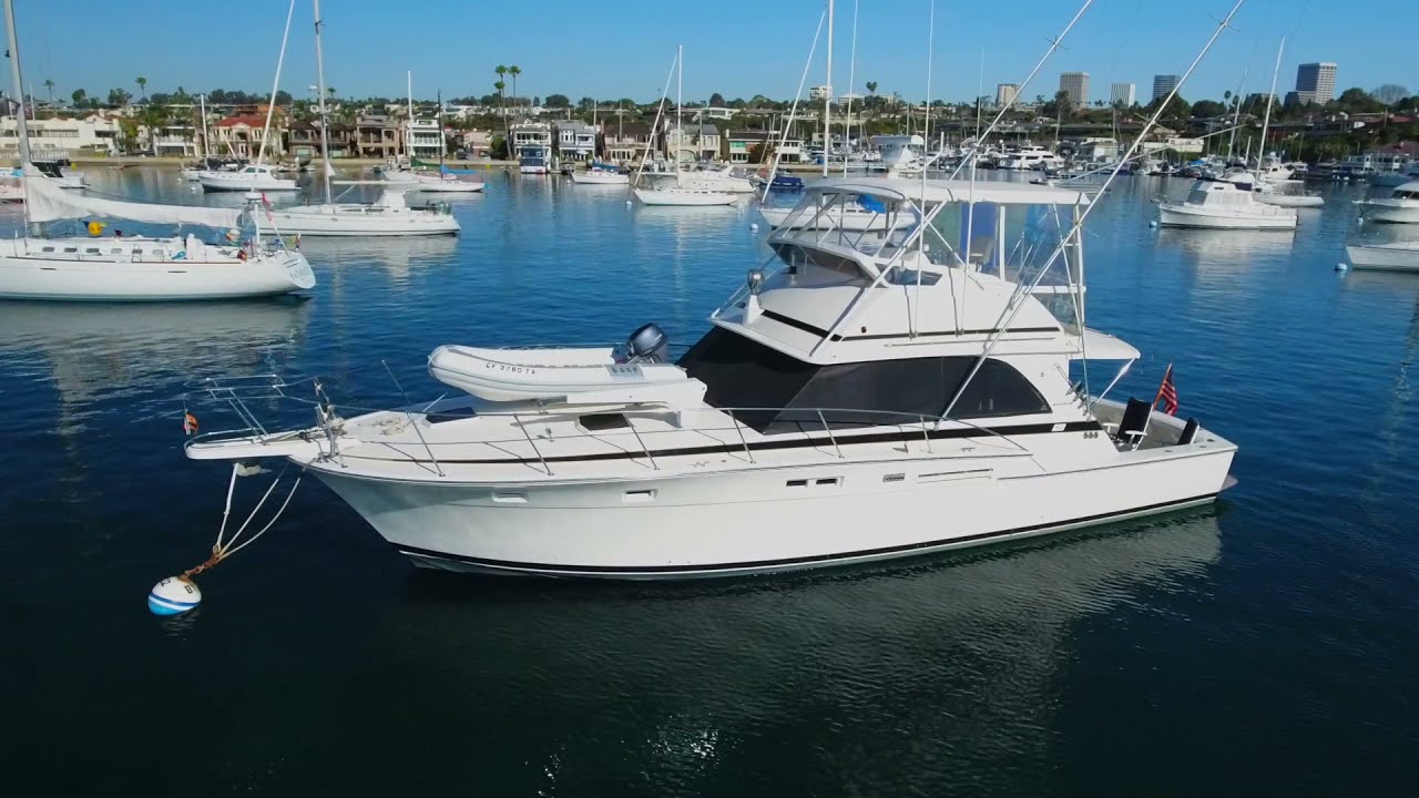 1981 Bertram 46
