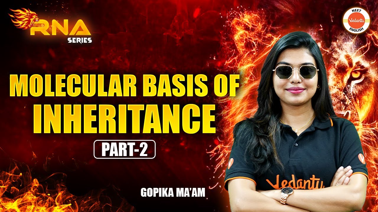 Molecular Basis of Inheritance- Part 2 | Class 12| NEET 2025 BIOLOGY | Gopika Ma'am