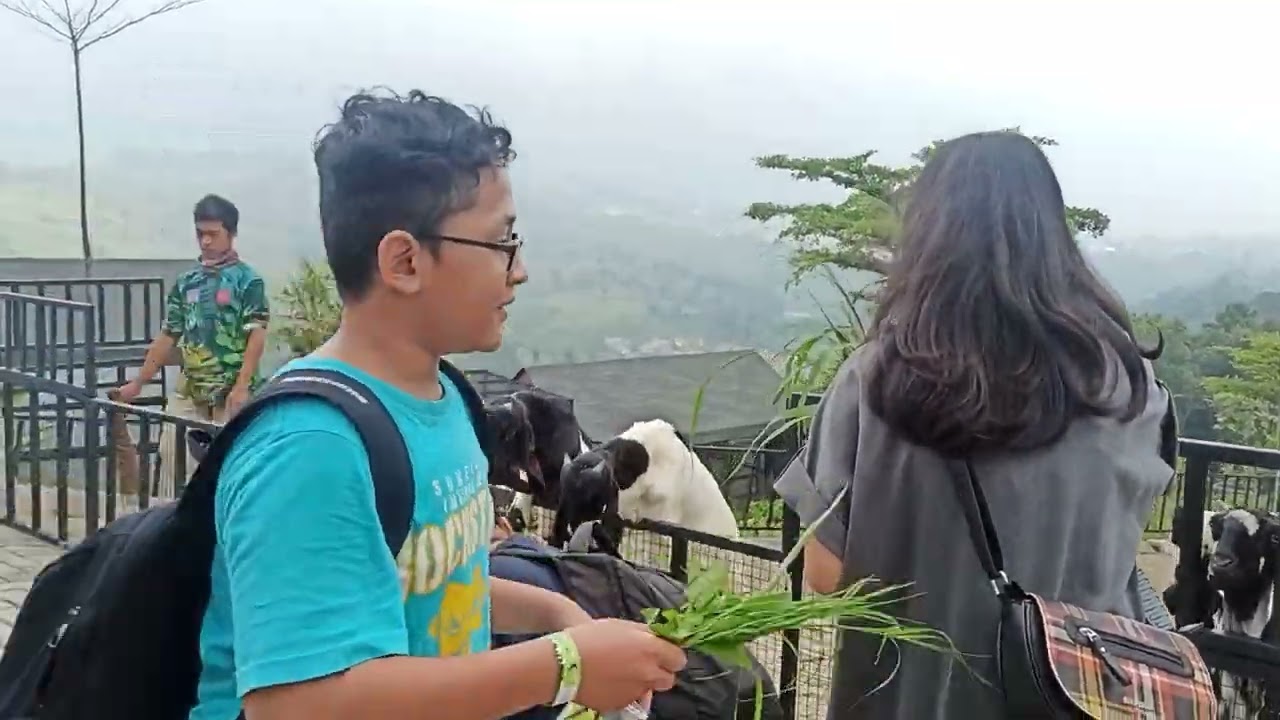 VID 20230523 112927
