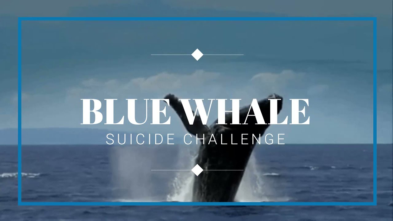 Problem of  Blue Whale Suicide Challenge