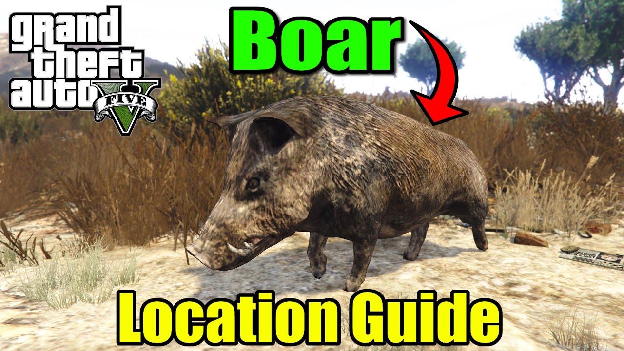 Where & How to Find Boars in GTA 5