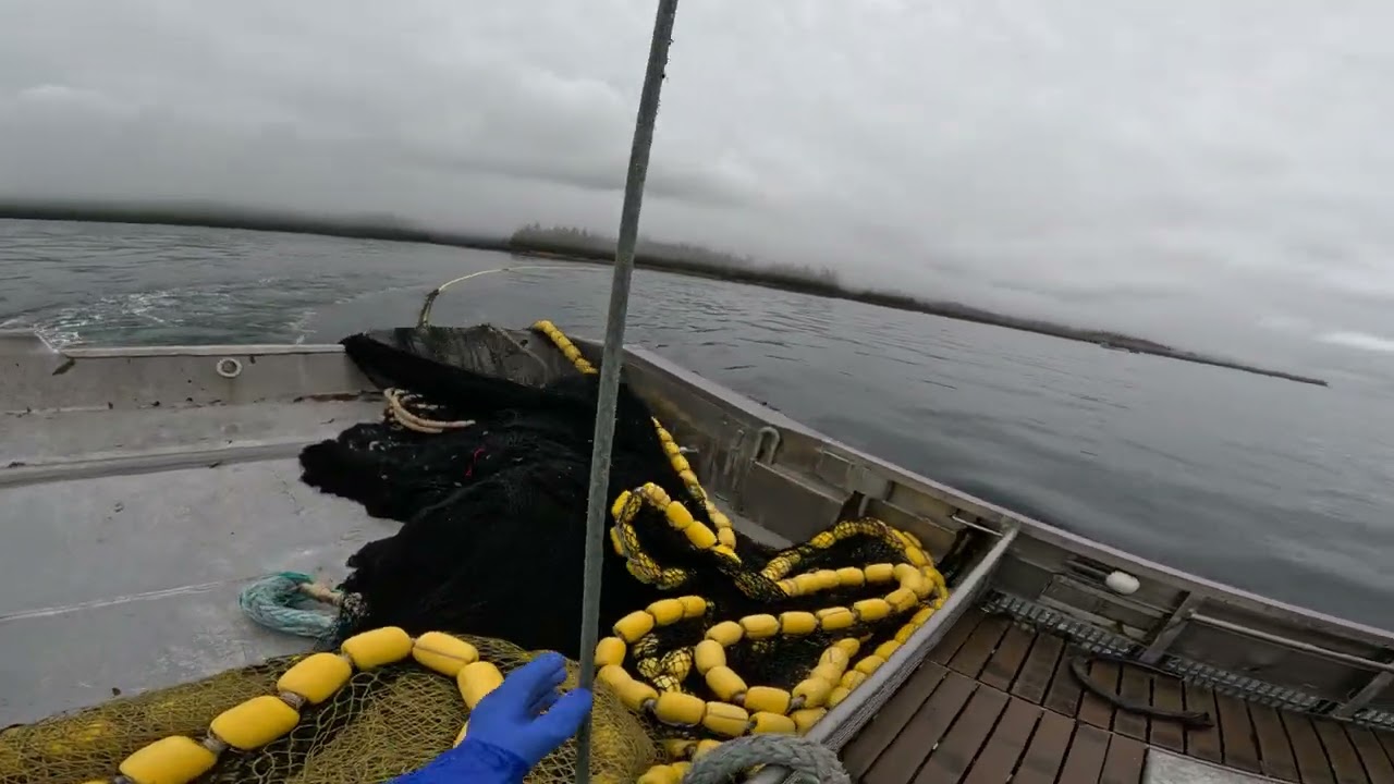 Setting a Purse Seine Go-Pro pov Commercial Salmon SE AK 2024