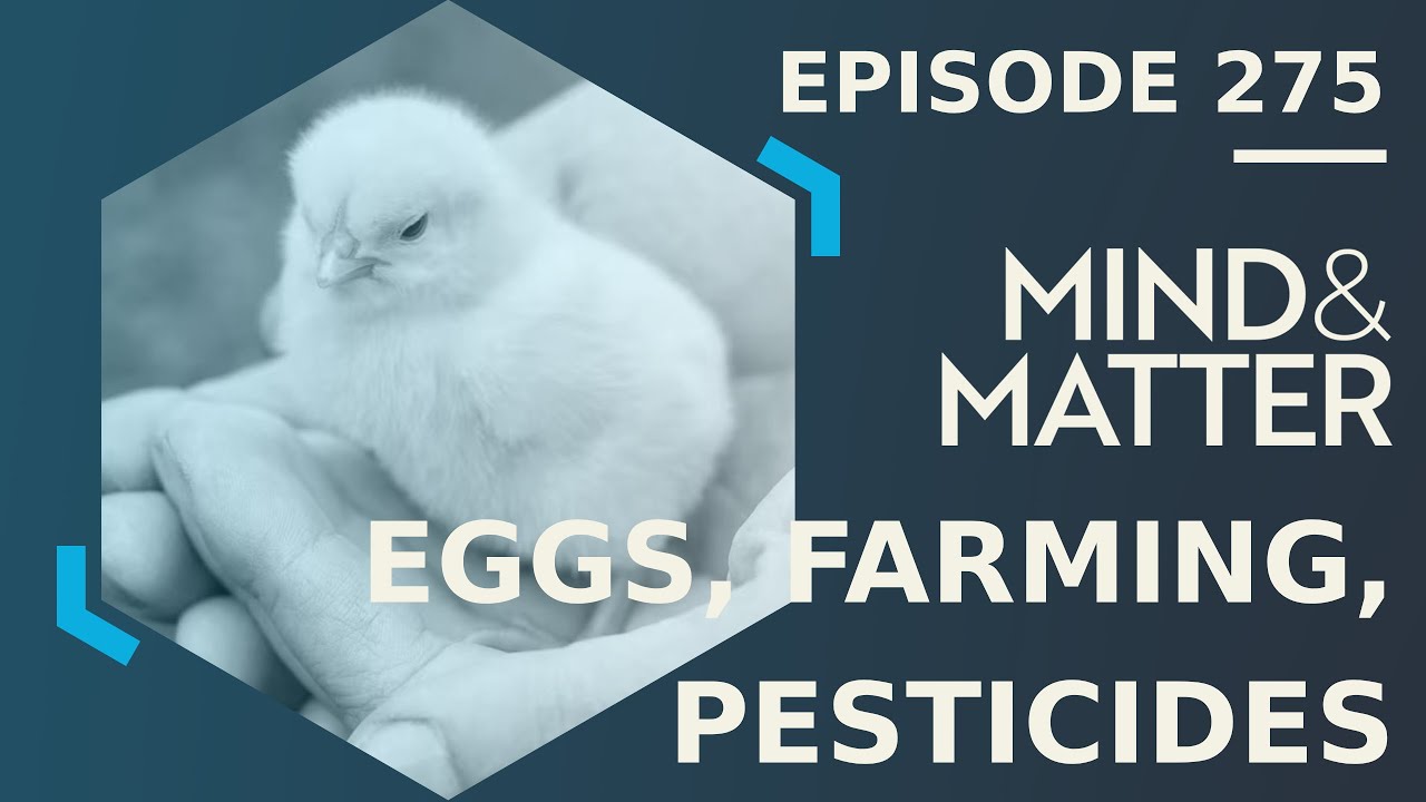 Are Seed Oils Are Making Us Fat & Sick? The Shocking Truth About Eggs, Soy, and Modern Farming