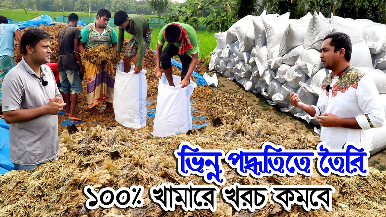 গরু ছাগলের খামারে খাদ্যে খরচ কমাতে চান তাহলে দেখুন | পিট সাইলেজ বানানোর আধুনিক পদ্ধতি ও সঠিক নিয়ম