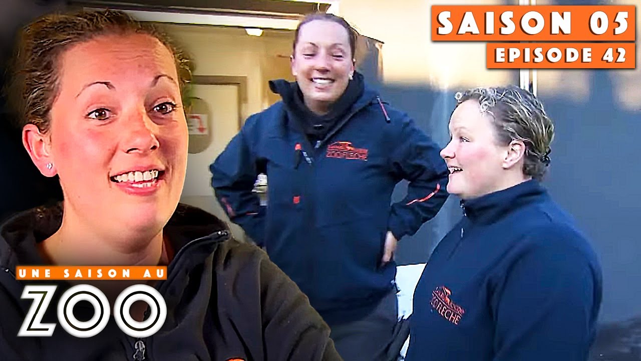 Barbara redevient Stagiaire pour Aurélie pendant 1 jour ! | S05EP42 | Intégrale | Une saison au zoo