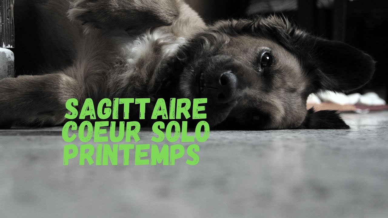 SAGITTAIRE C&Eacute;LIBATAIRE PRINTEMPS - une relation pass&eacute;e bloque votre vie