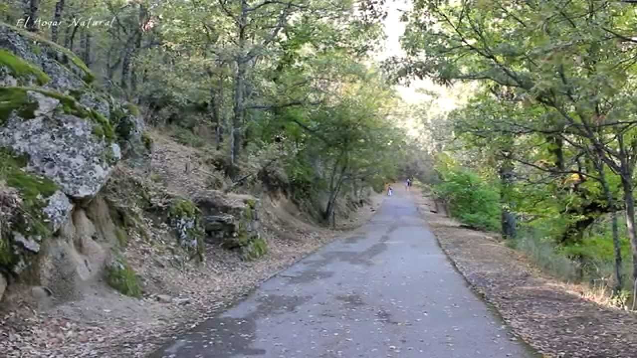 Un paseo por la silla de Felipe II