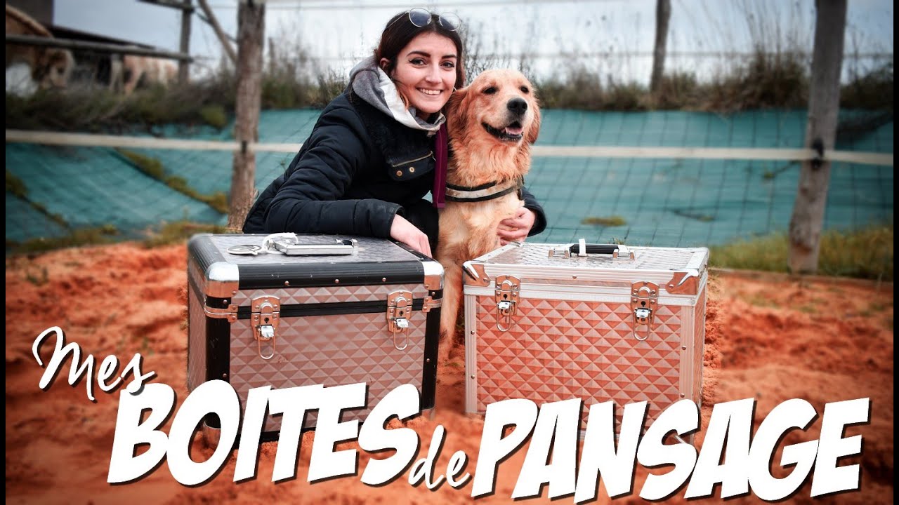 JE VOUS PRESENTE ENFIN MES BOITES DE PANSAGE !