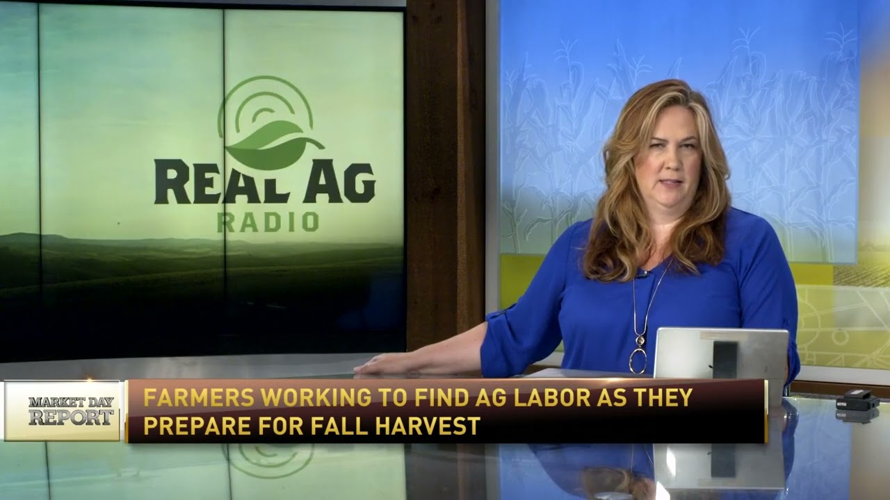 RFDTV: Sourcing farm harvest labour a challenge