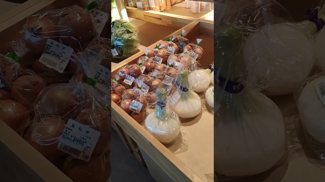 愛知県ふれあいの里