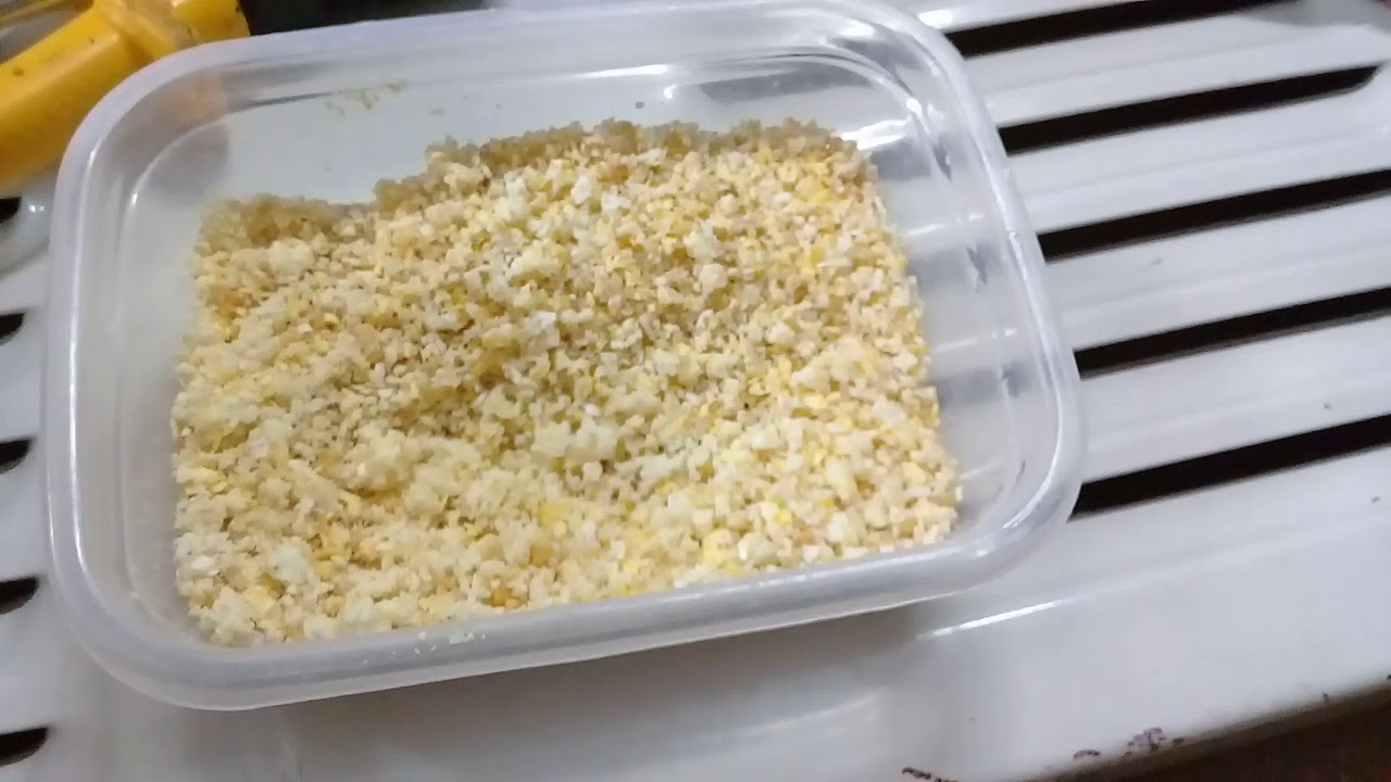 Como fazer farinhada para filhote de curió