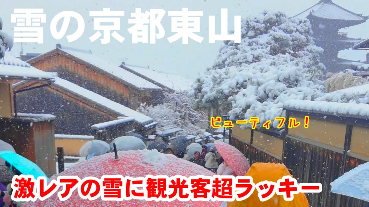 2/8(日)激レア京都の雪 風情ある東山に降りしきる雪に観光客は超ラッキー！