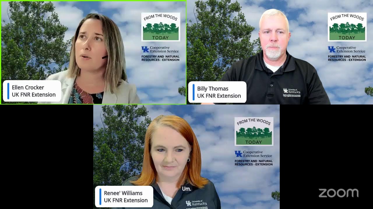 From the Woods Today - Forestry Practices for Wildlife