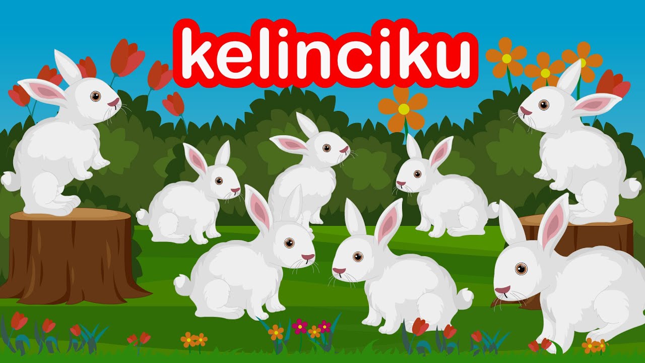 Lagu Kelinciku Kelinciku Kau Manis Sekali - Lagu Anak Populer