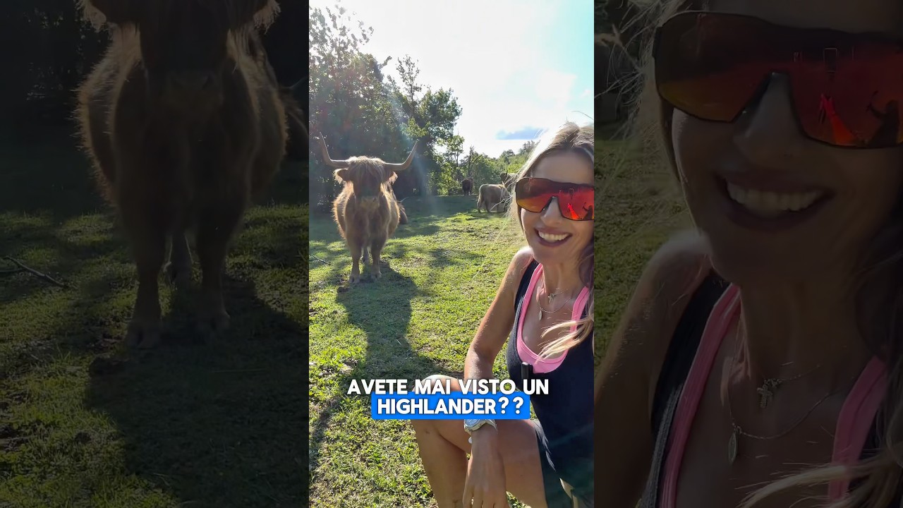 HIGHLANDERS&hellip;Le avete mai viste?? #viaggiare #trekking #appennino