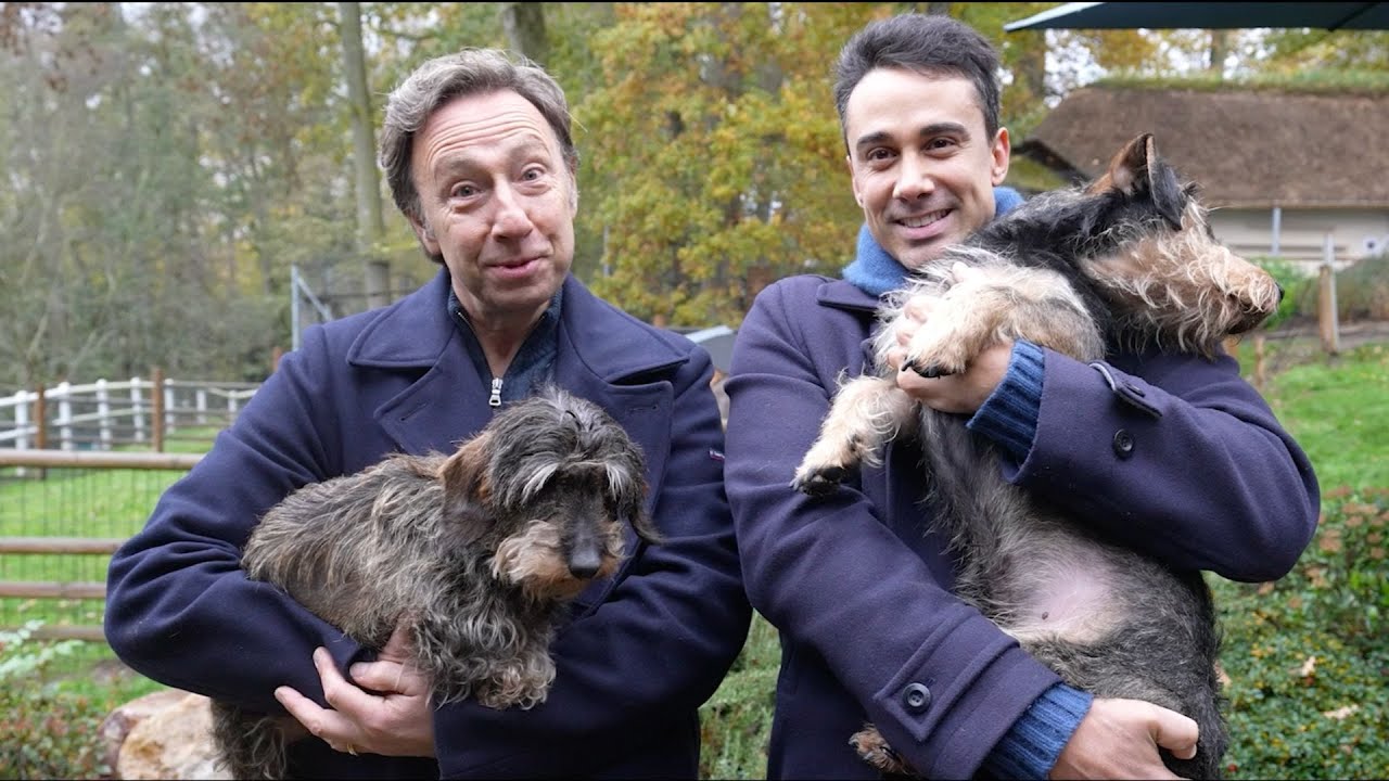 Adoptions : le formidable soutien de Stéphane Bern et Yori Bailleres