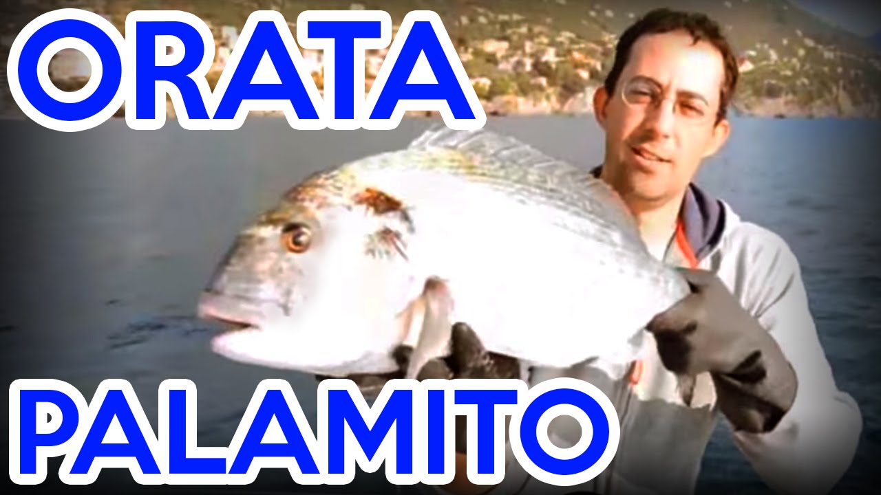 COME PESCARE le ORATE con il PALAMITO (video di pesca in mare da barca completo con Matthieu Amato)
