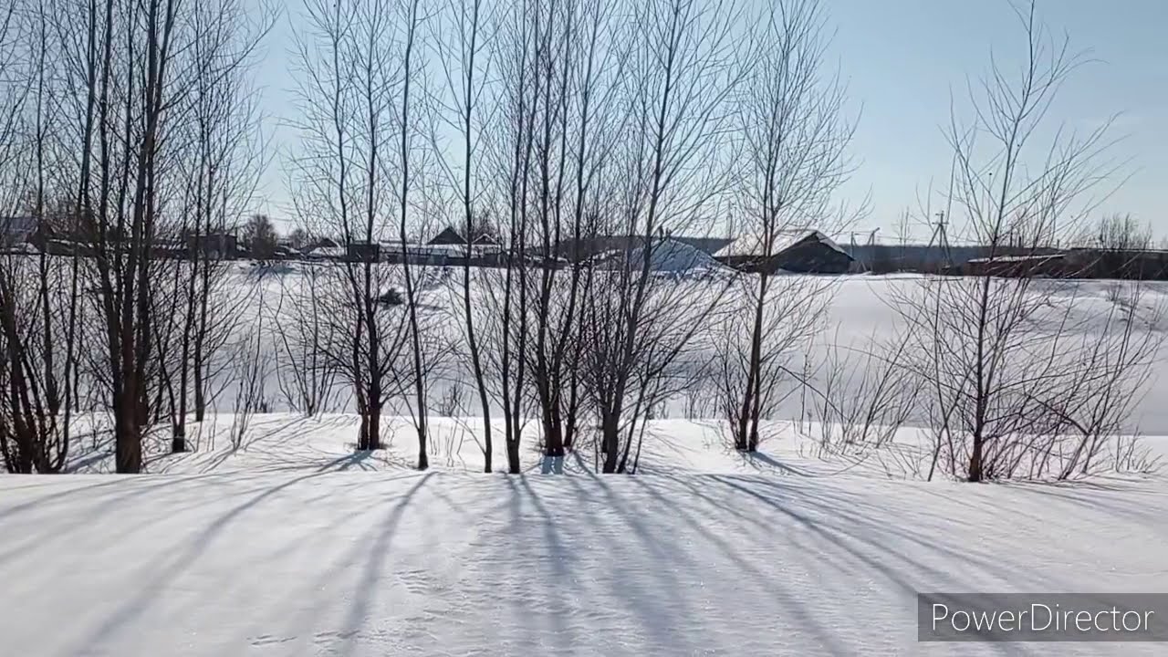 #Цингалы #местосилы