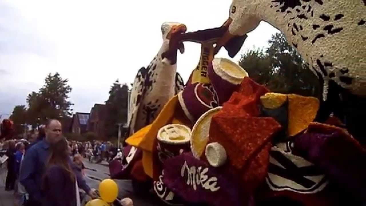 Dahlia-corso 2015 Lichtenvoorde