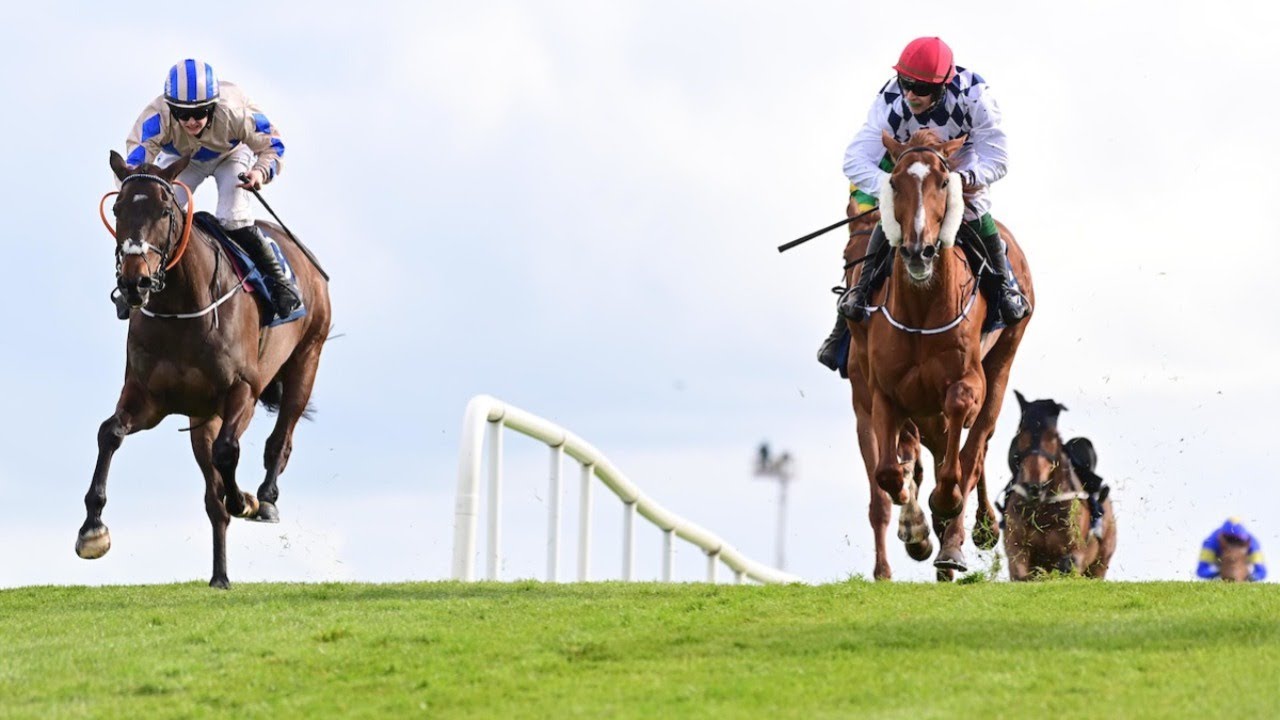 BANBRIDGE gets up on the line in a fantastic finish to Punchestown's William Hill Champion Chase
