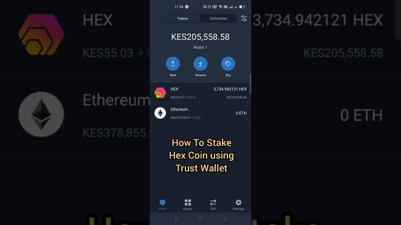 How To Stake Hex Coin Using Trust Wallet: US$0.50 KES55