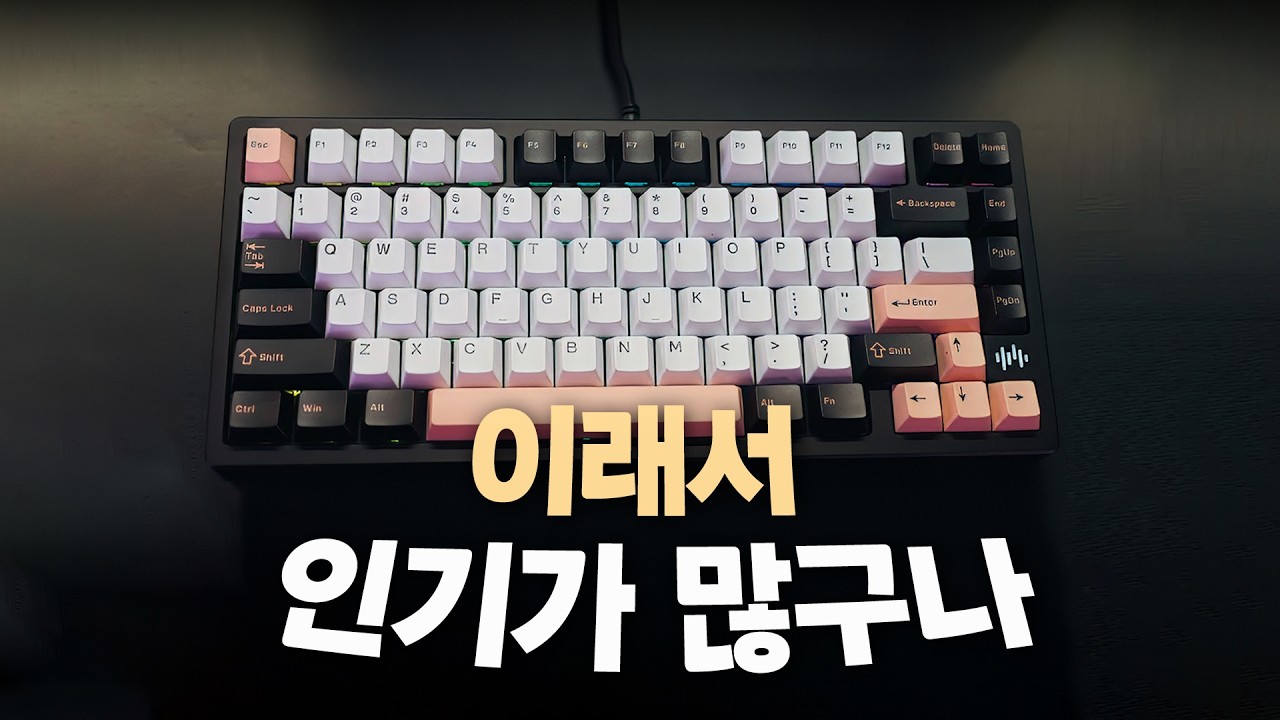 커스텀 키보드 입문 끝판왕! 키네틱스 정발 WAVE75를 사야 하는 이유