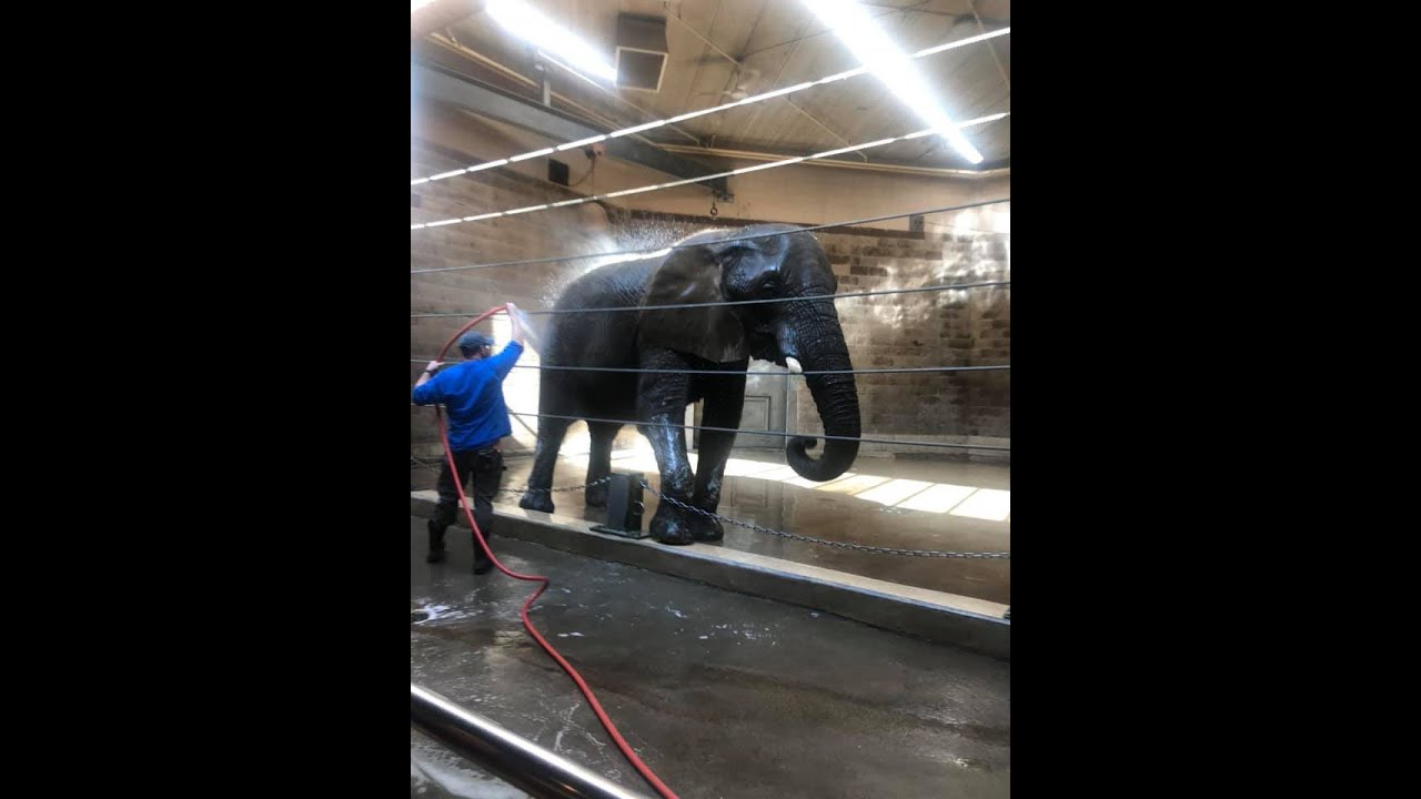 Jake and casey visit the Roger Williams Park Zoo