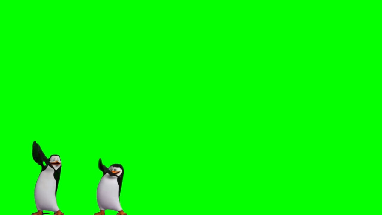Oh Yes Green Screen