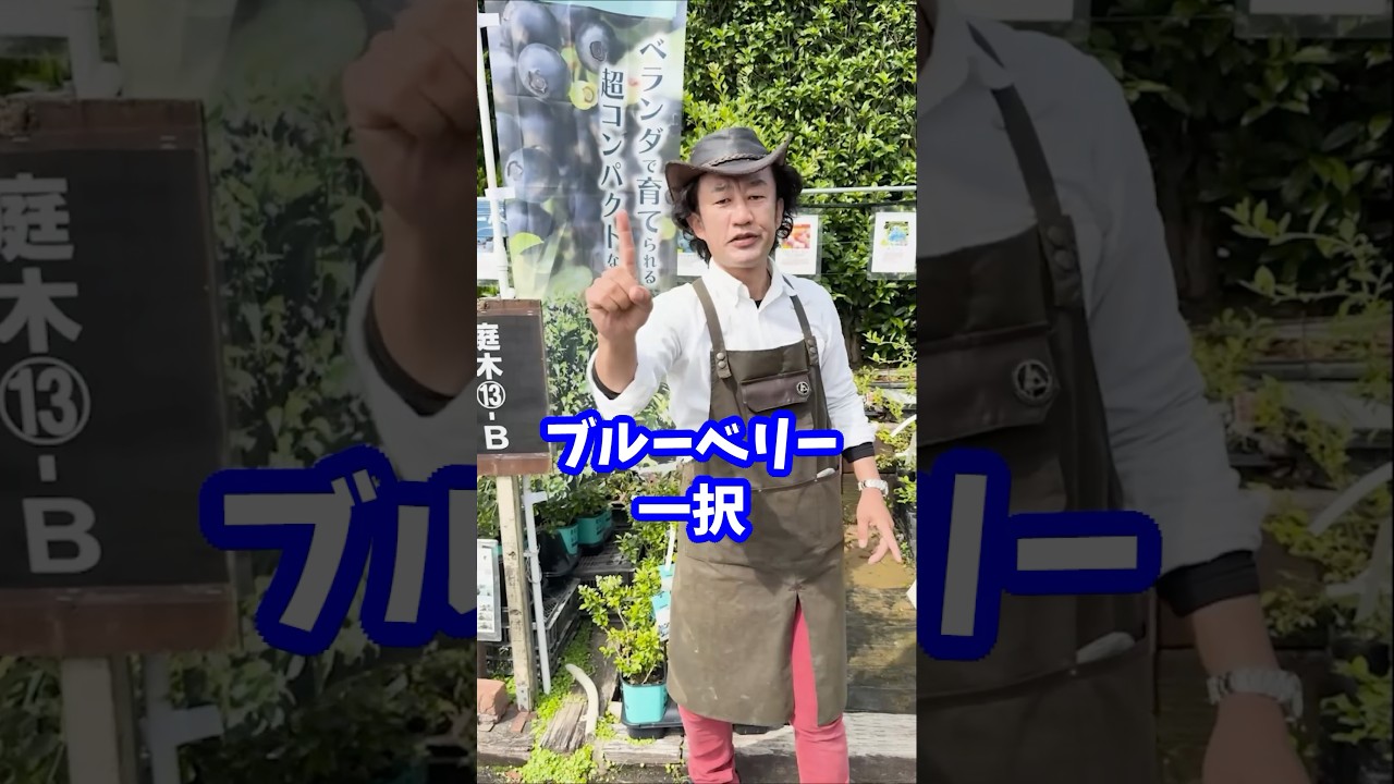 初めて自宅で果樹を育てるなら忖度なくこれ　 #shorts #散水 #タカギ #カーメン君