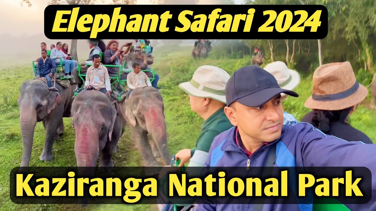 Elephant Safari 2024 at Kaziranga National Park | Kaziranga Elephant Safari | Kaziranga | Assam