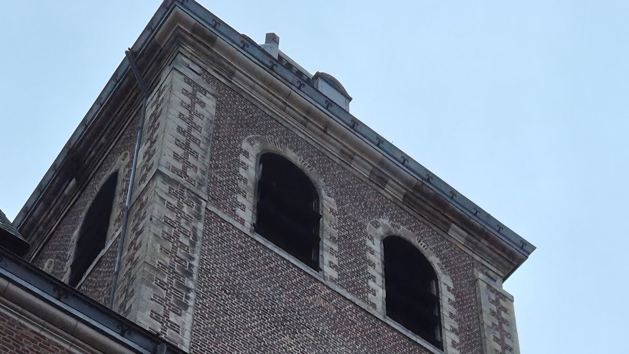 Hasselt, Virga jesse Basiliek Volgelui 