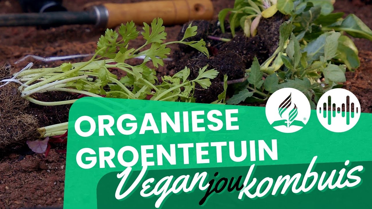 Organiese groentetuin: gesonde groente in jou eie tuin | Vegan jou Kombuis | S2 E3