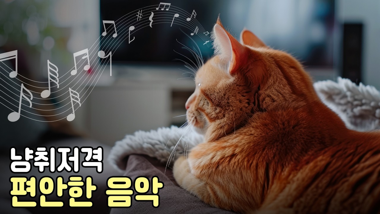 고양이 마음을 편안하게 해주는 음악. Piano Music for Cat Relaxation