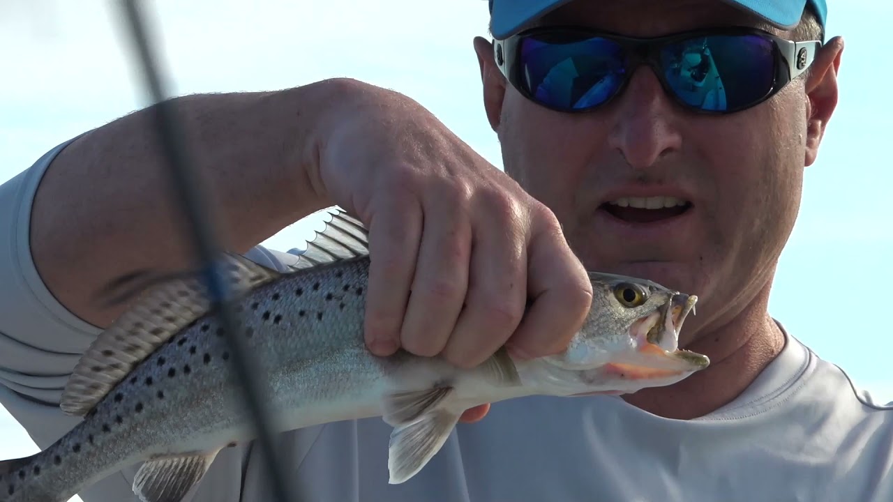 Hopedale Specks